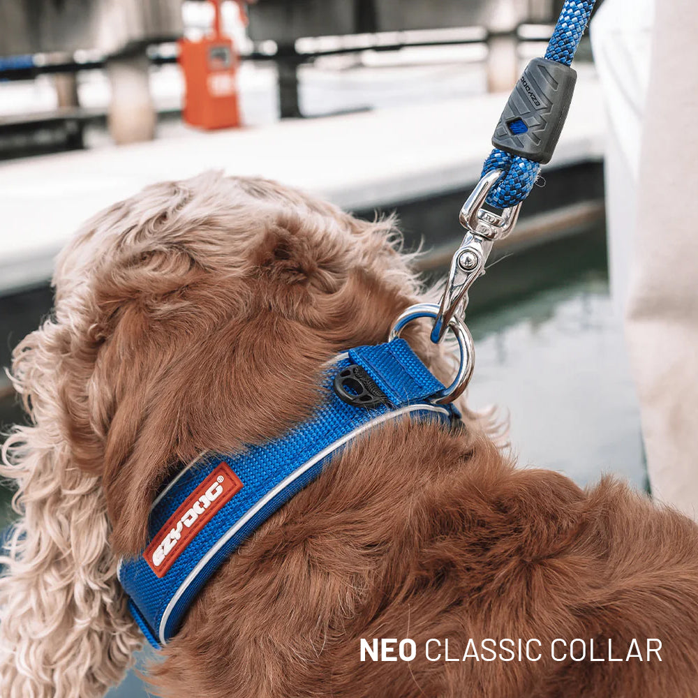 Water Explorer Bundle