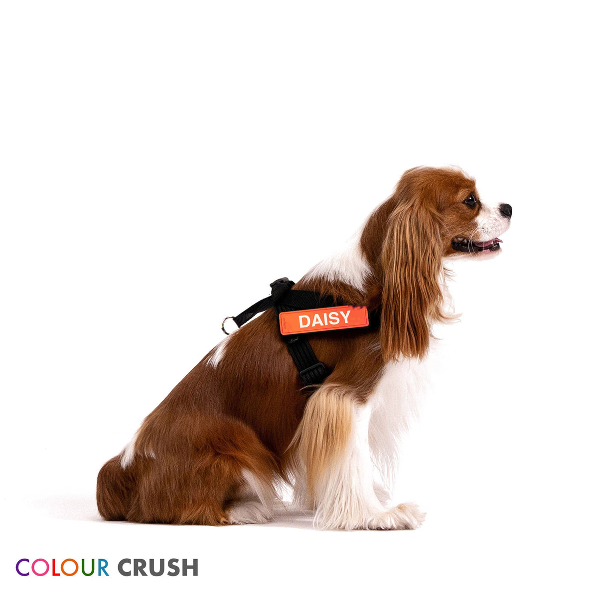 Etiquetas personalizadas