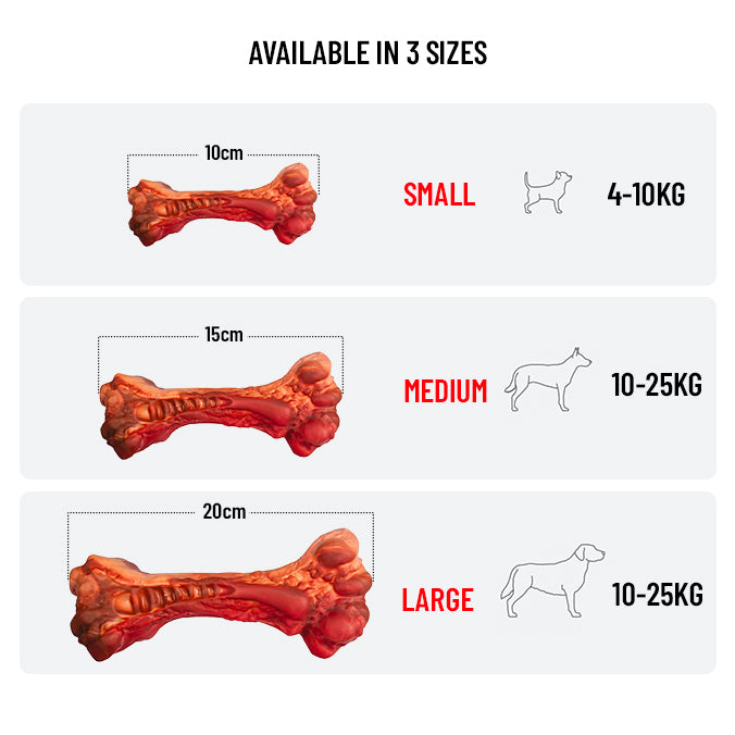 EzyBones Chew Toy