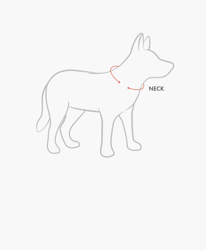 NECK
