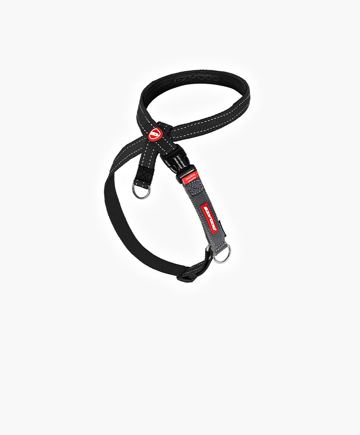 Cross Check Training Harness