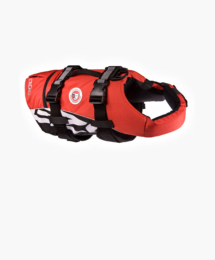 DFD Standard
