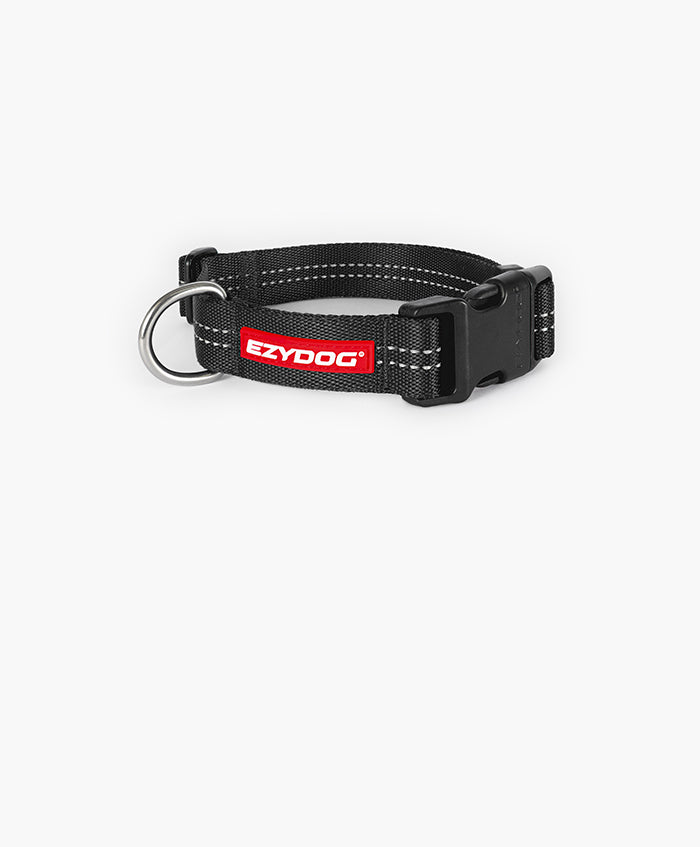 Essential Adjustable Collar