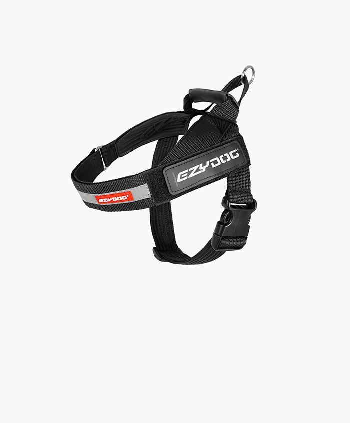 EXPRESS HARNESS