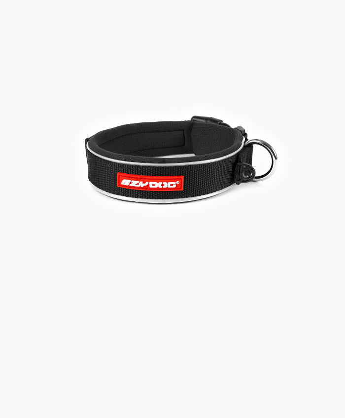 New Classic Collar