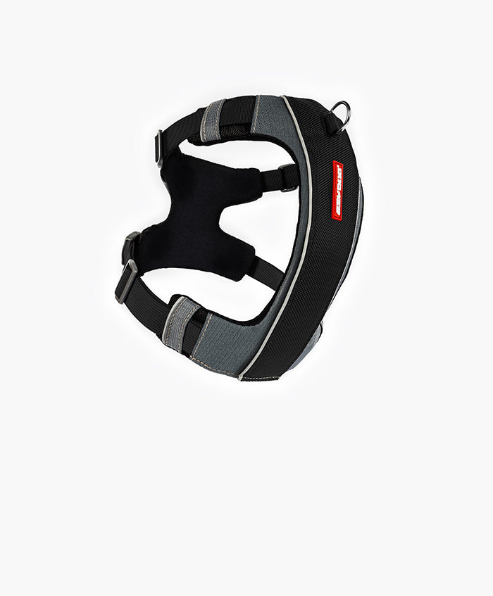 X-LINK HARNESS
