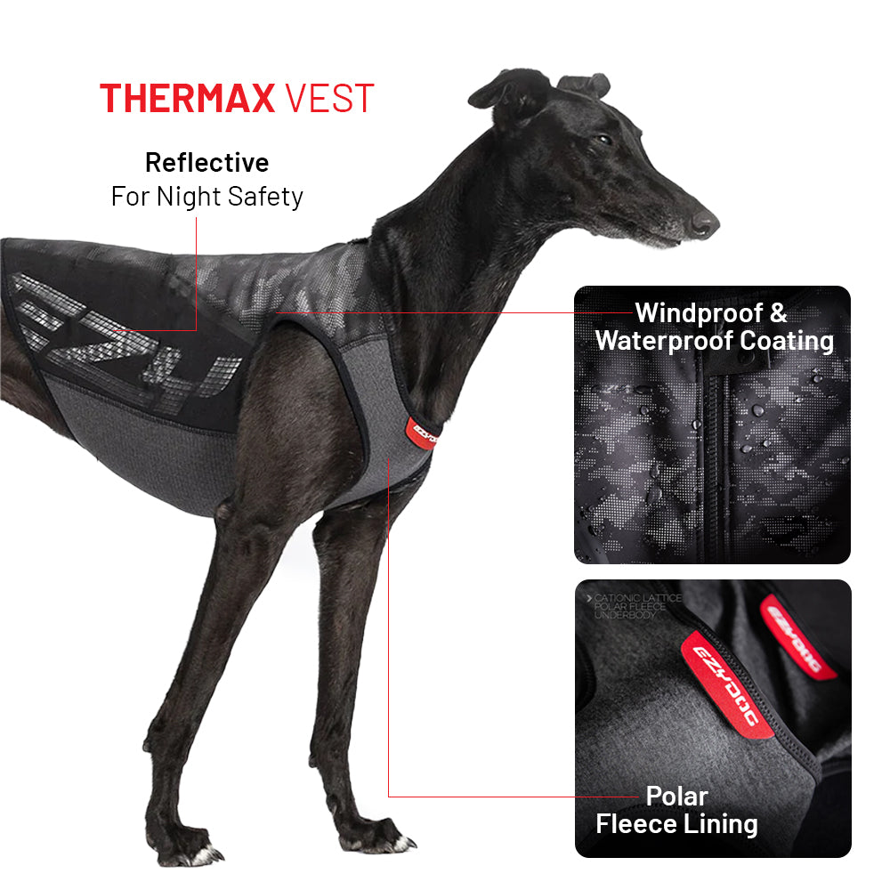 Winter Explorer Bundle