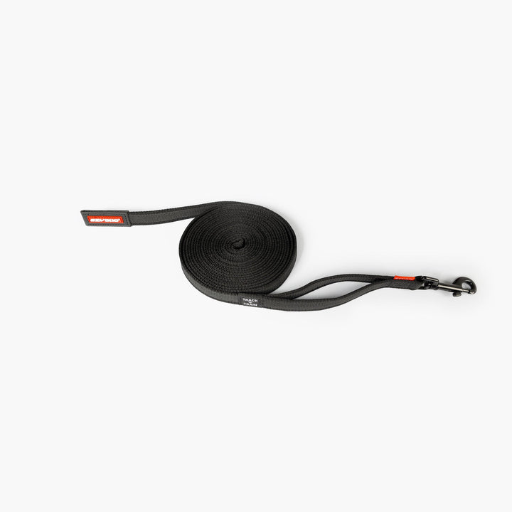 Track n Train Leash