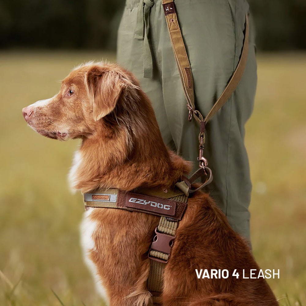 Training Essentials Bundle