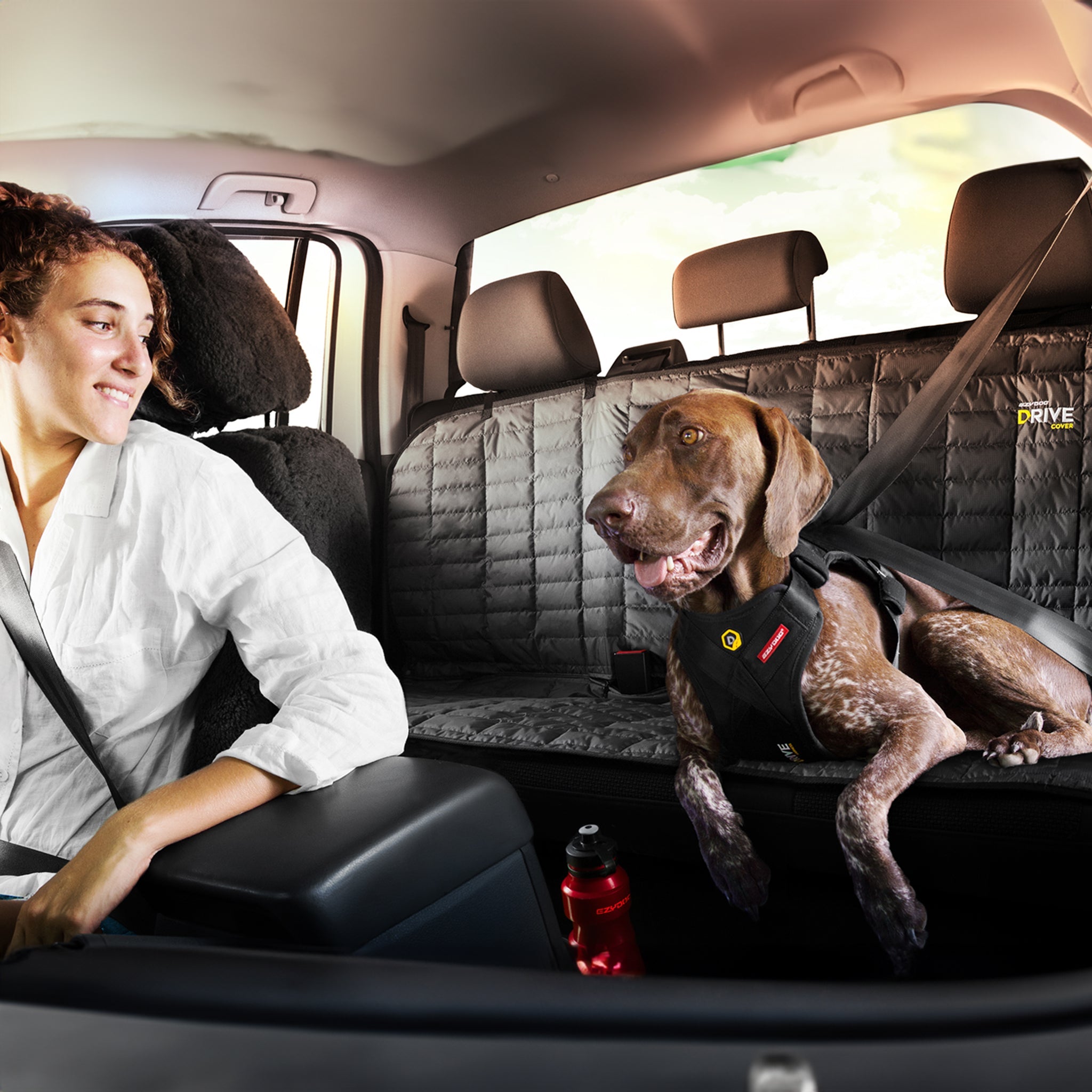Drive - Autositzbezug für Hunde