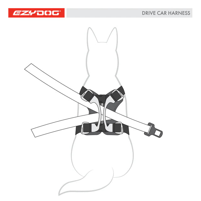 Diagram Showing How to Use EzyDog Drive Car Harness with Seatbelt – Dog Car Safety Illustration