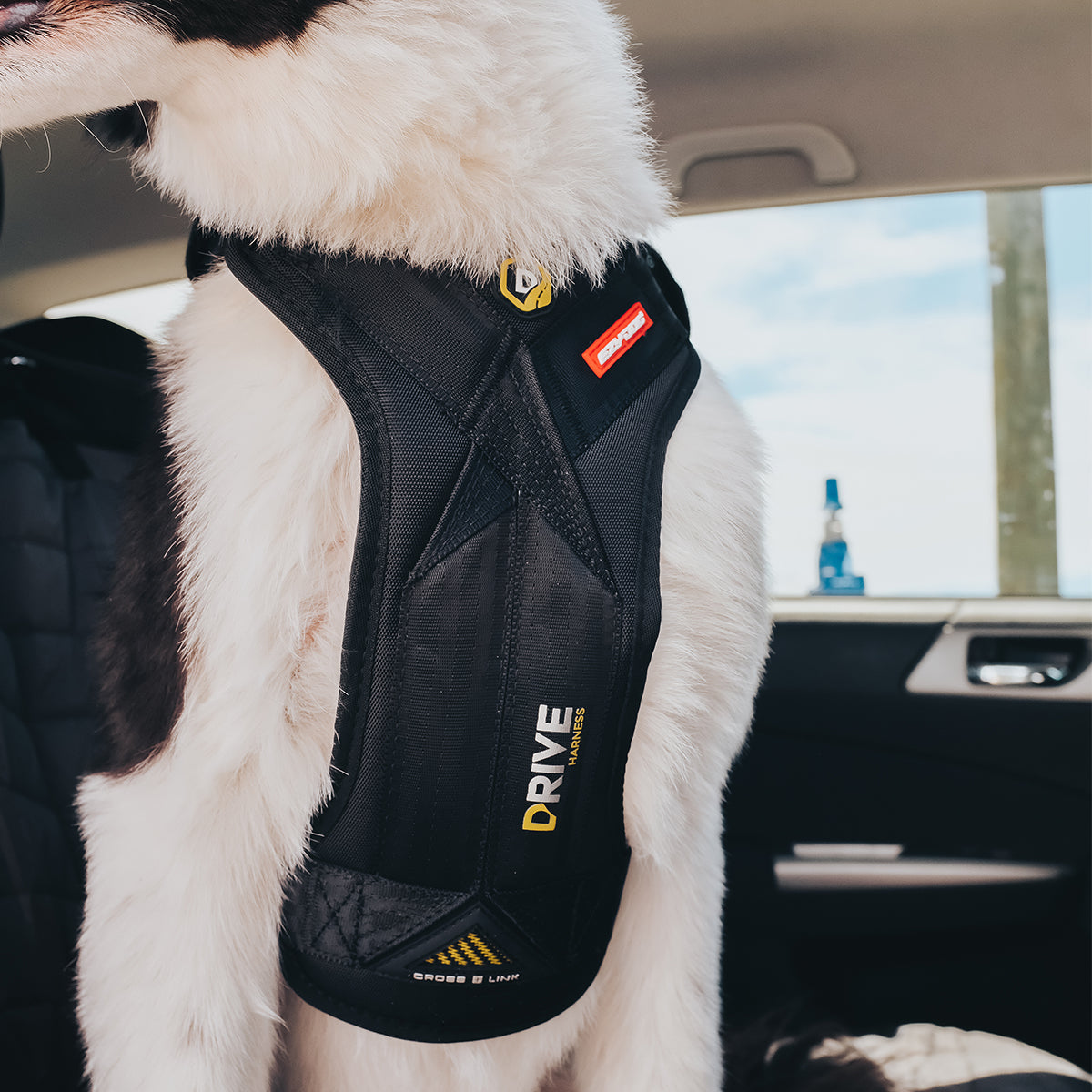 Close-Up of EzyDog Drive Harness on Dog in Car – Front Chest View with Crash-Tested Design