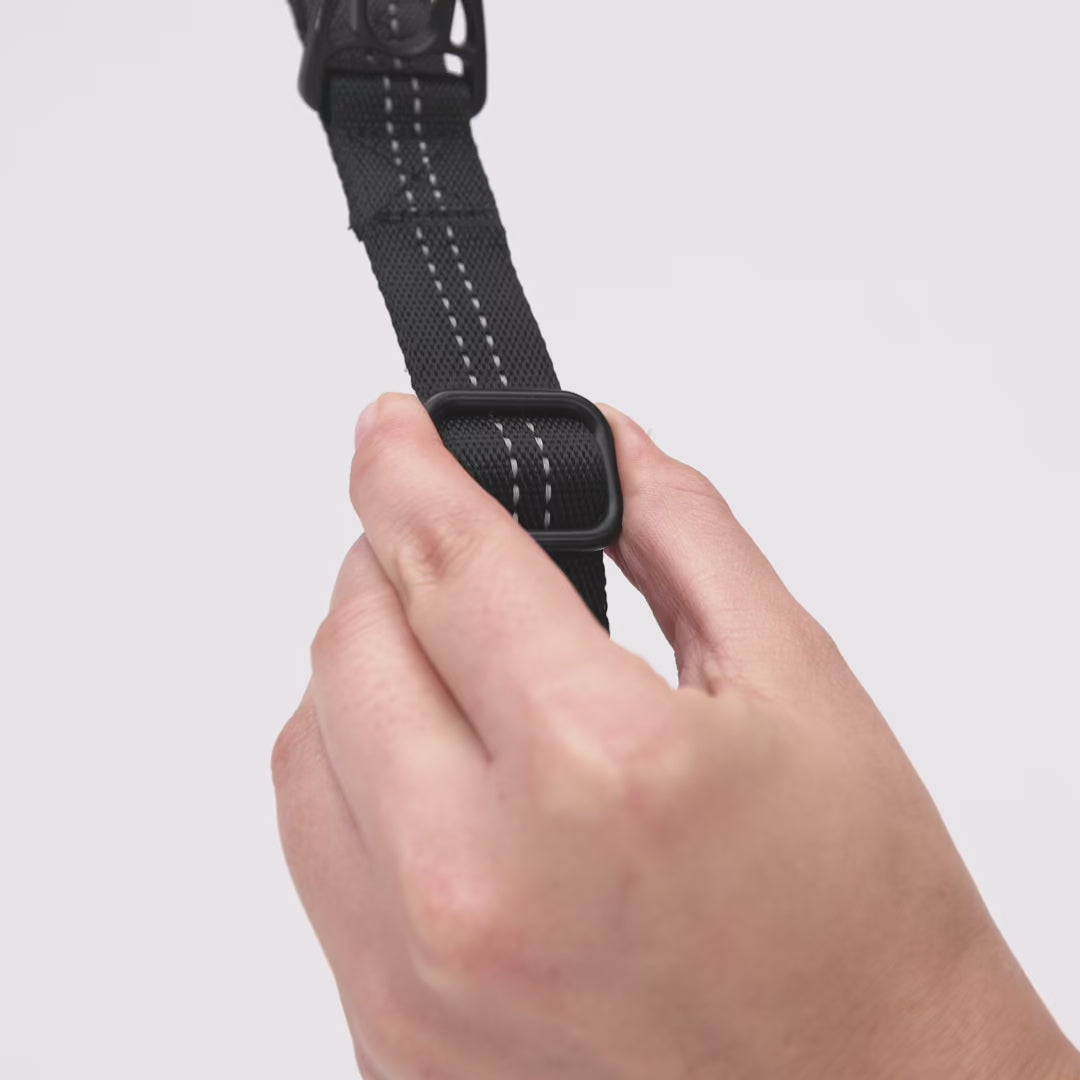 EzyDog Essential Adjustable Dog Leash