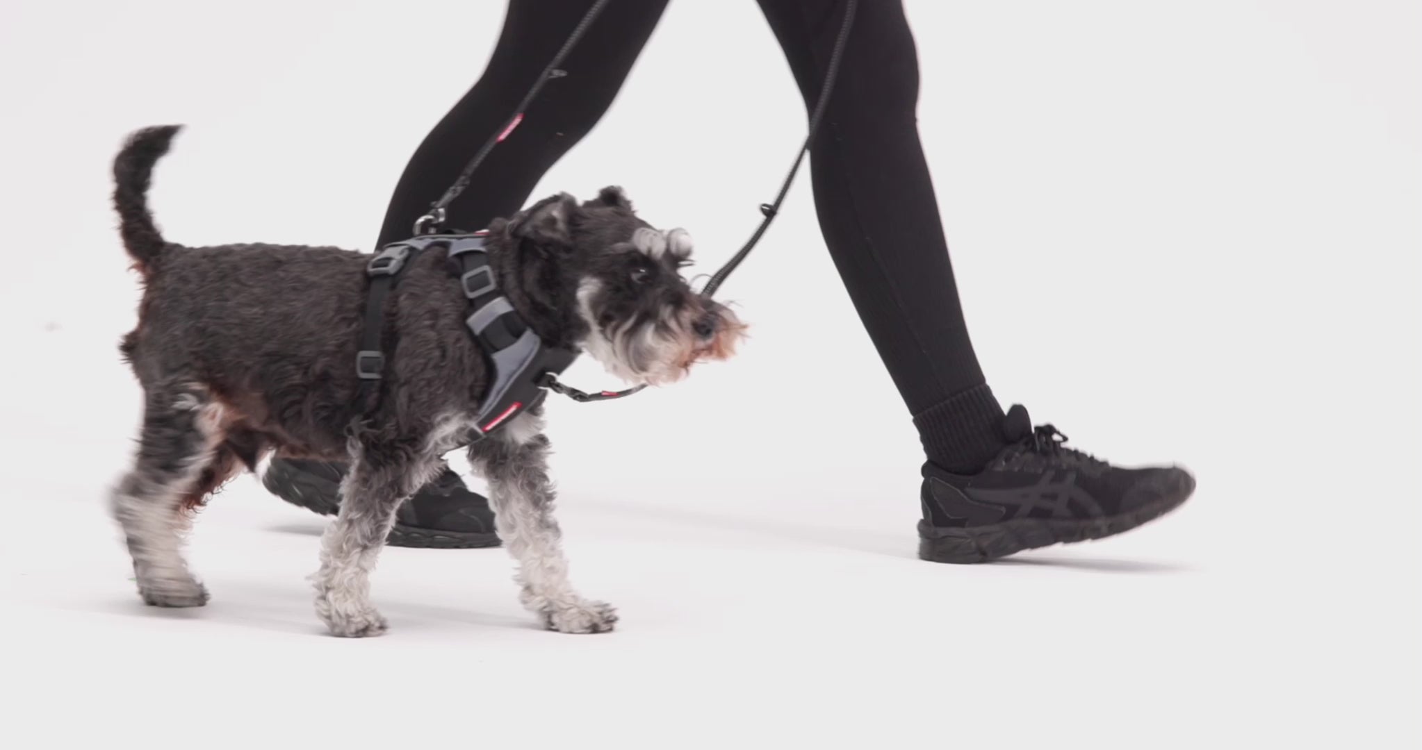 No Pull Dual Clip Dog Harness - X-Link