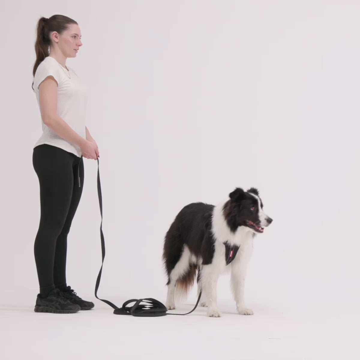 Demo video of EzyDog Track N Train 5m Long Dog Lead – Training and Recall Leash for Dogs