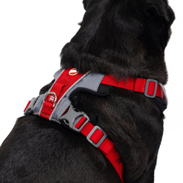 X-Link Hundegeschirr
