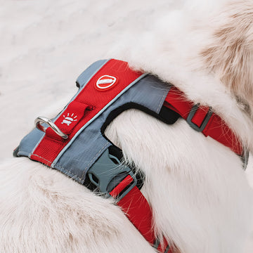 X-Link Hundegeschirr