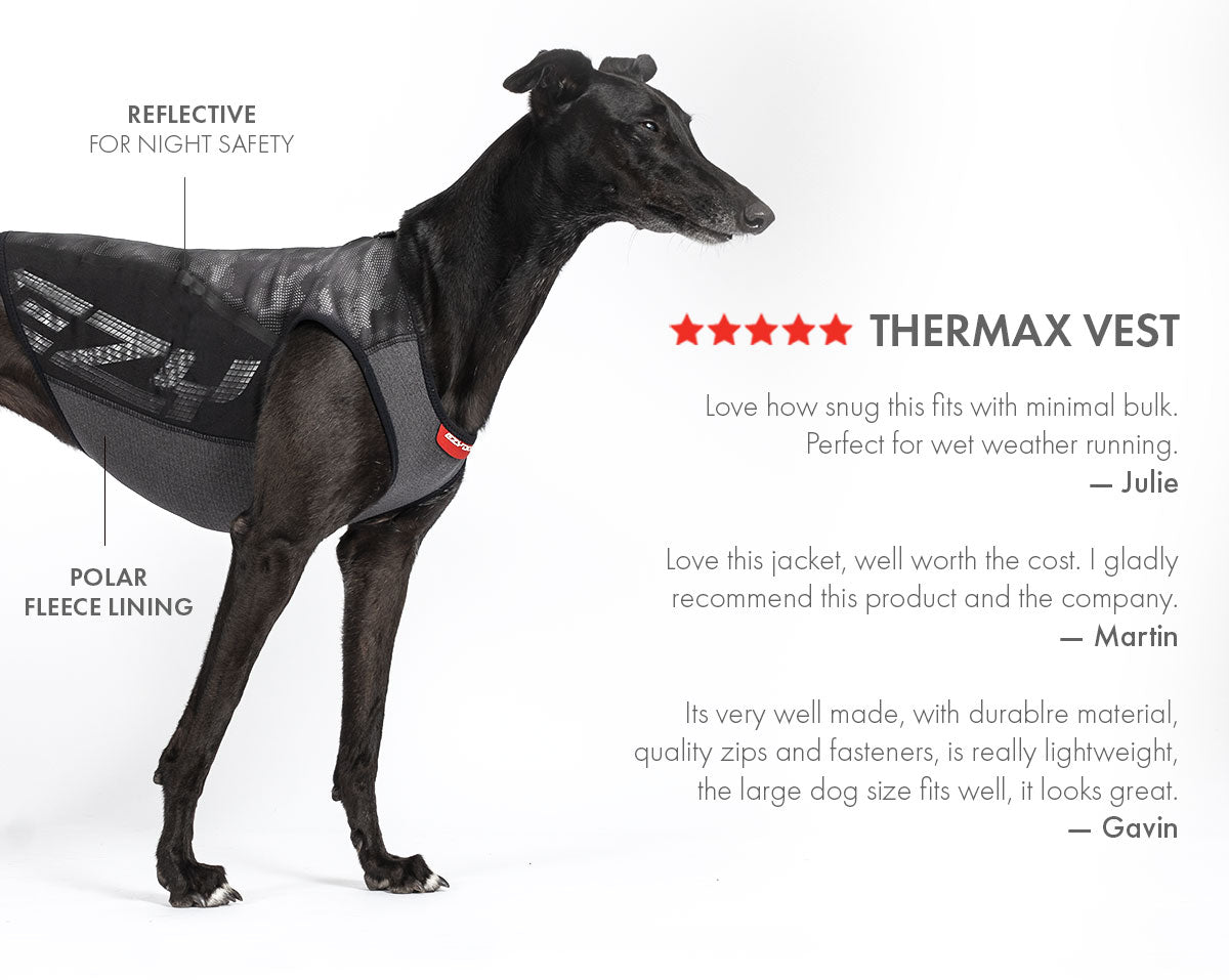 Pack Explorateur d’Hiver